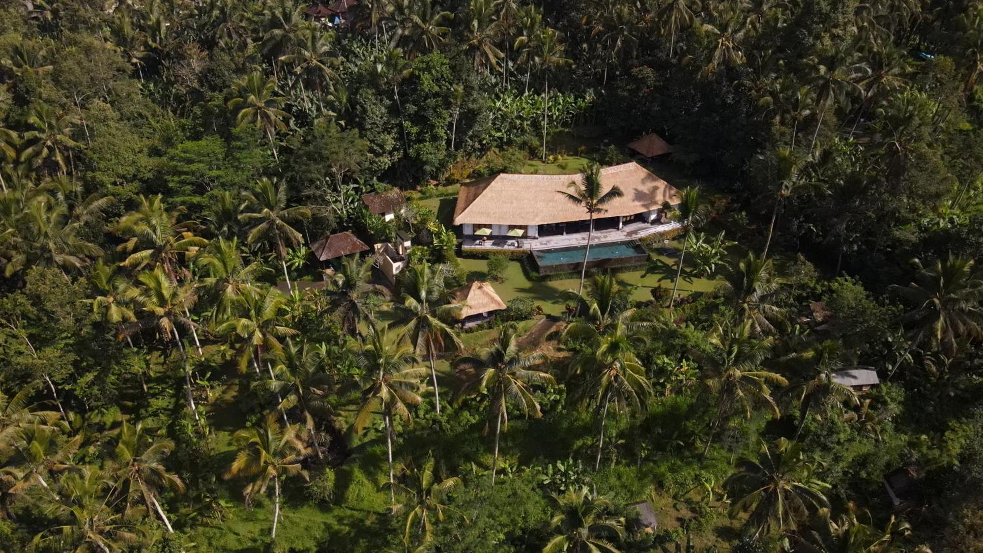 Villa Themma Jungle - Sumptuous 3Br Luxury Villa With Majestic Jungle View North Of Ubud Εξωτερικό φωτογραφία