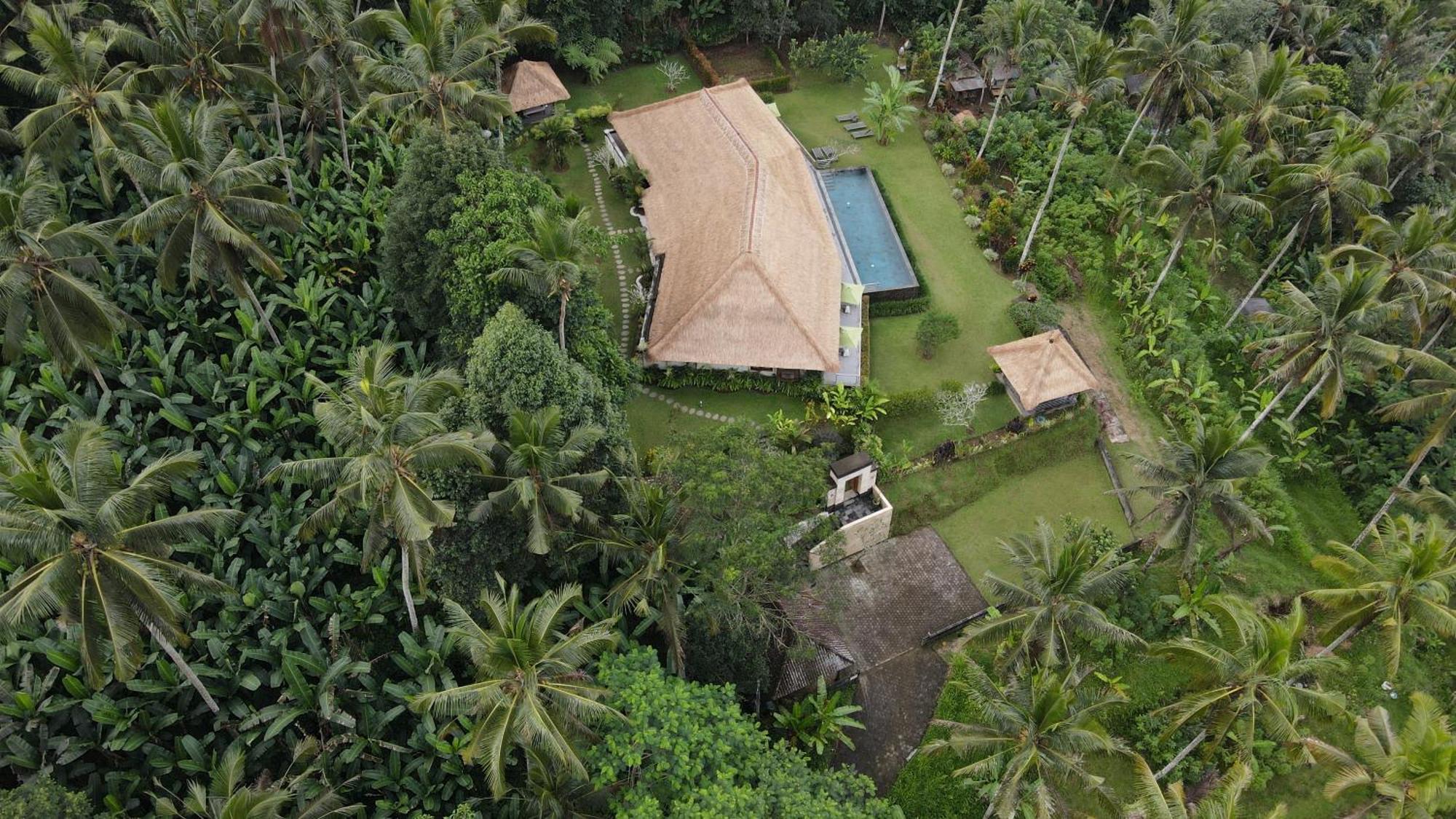 Villa Themma Jungle - Sumptuous 3Br Luxury Villa With Majestic Jungle View North Of Ubud Εξωτερικό φωτογραφία