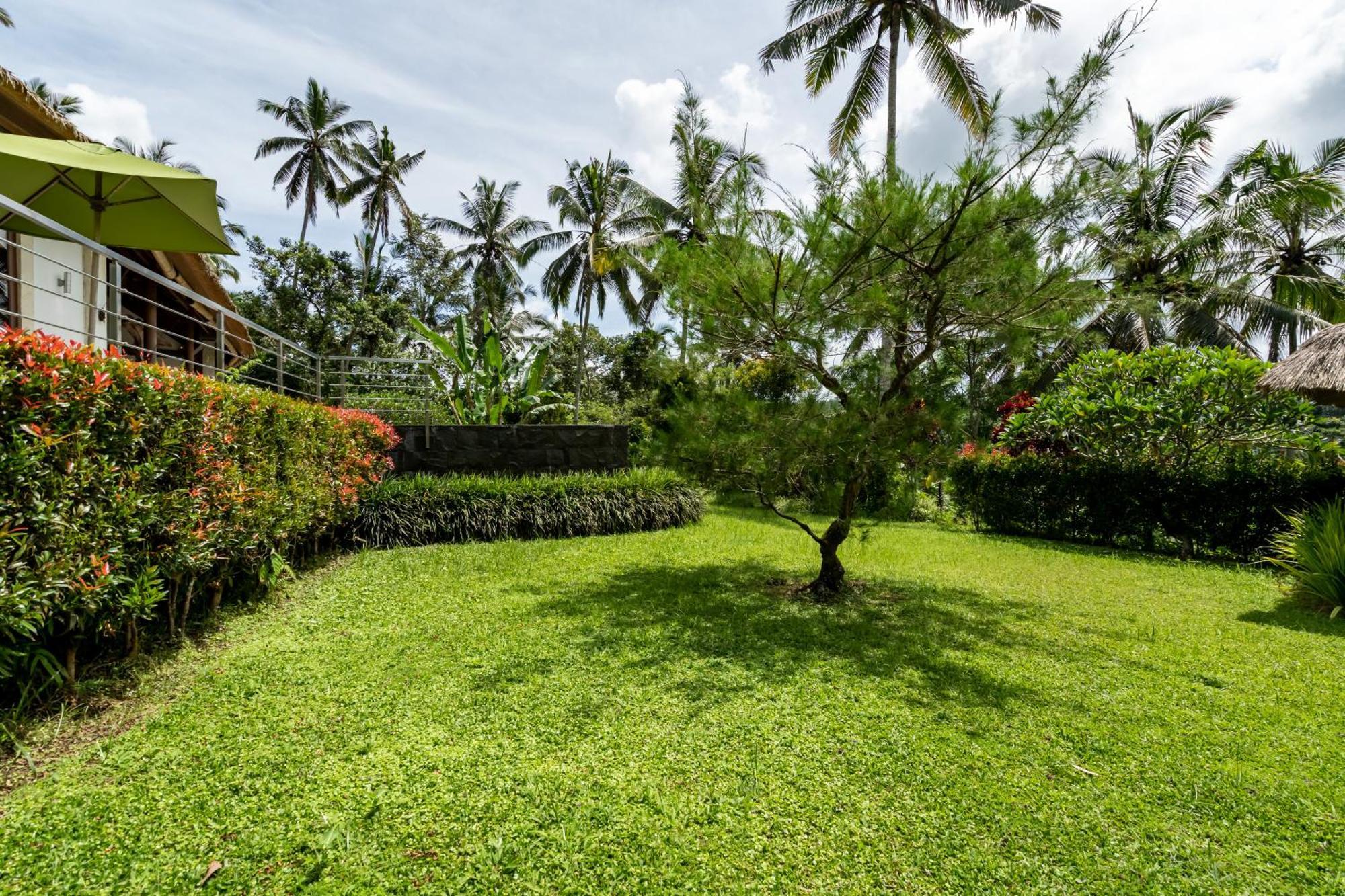 Villa Themma Jungle - Sumptuous 3Br Luxury Villa With Majestic Jungle View North Of Ubud Εξωτερικό φωτογραφία