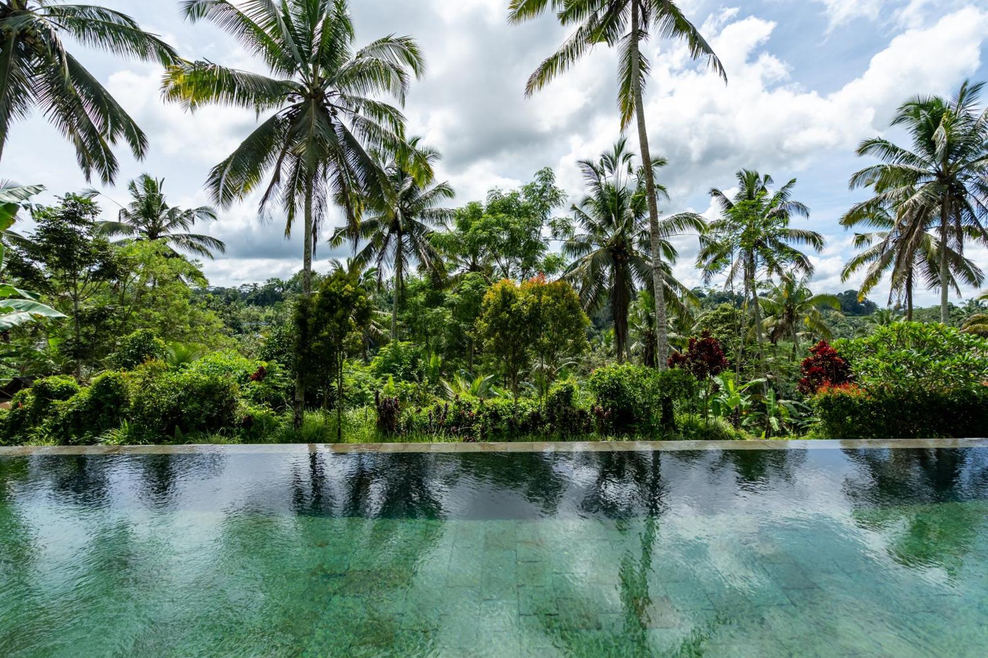 Villa Themma Jungle - Sumptuous 3Br Luxury Villa With Majestic Jungle View North Of Ubud Εξωτερικό φωτογραφία